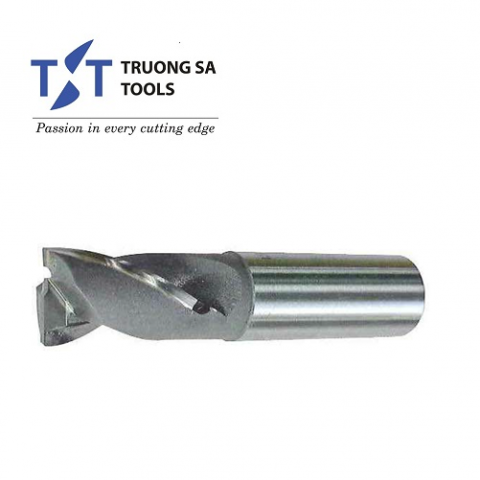 Dao phay ngón 2 ME hàn mảnh Carbide